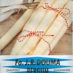 Stokslabonen Mechelse tros (100 gram)