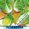 Romeinse Bindsla Little Gem. 1034 1 4
