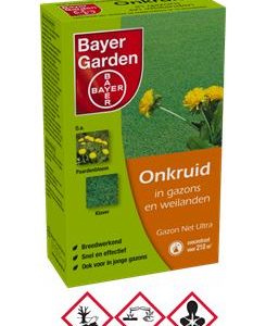 Bellis perennis L.