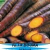 Daucus carota Purple Haze F1