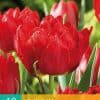 Tulp Abba