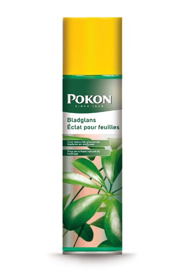 Pokon Bladglans 250ML 1736 1 1