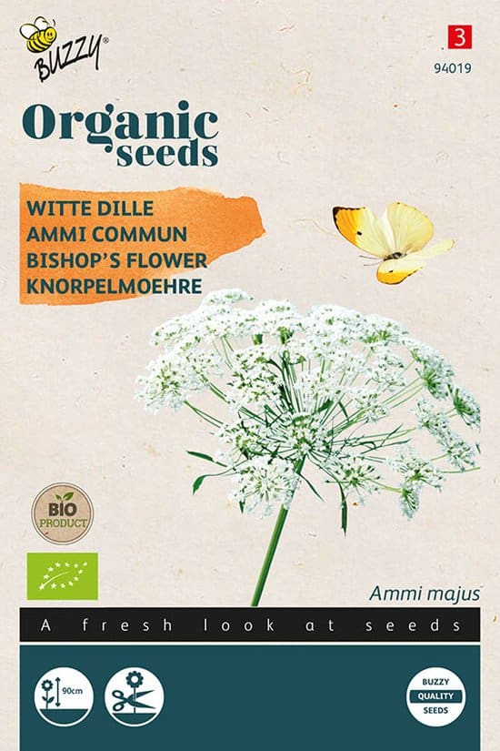 Witte Dille