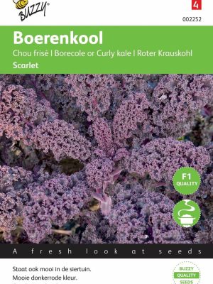 Boerenkool Scarlet