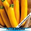 Courgette (geel)
