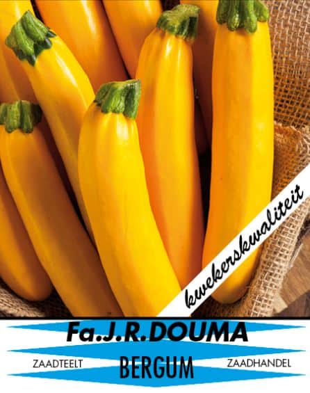 Courgette (geel)