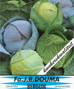 Stamslaboon Maxi (100 gram)