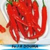 Spaanse peper Cayenne