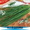 Allium tuberosum
