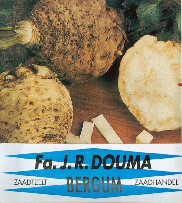 Knolselderij