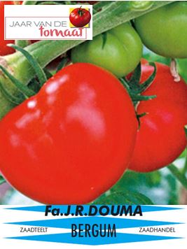 Tomaten