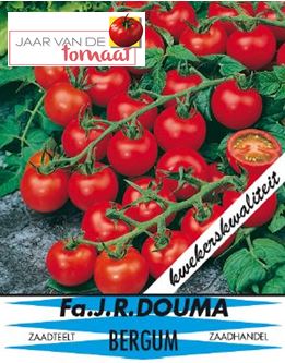 Tomaten Kers 486 jaar van de tomaat 1