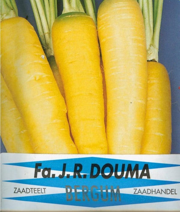 Voederwortel