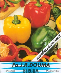 Stamslaboon Maxi (100 gram)