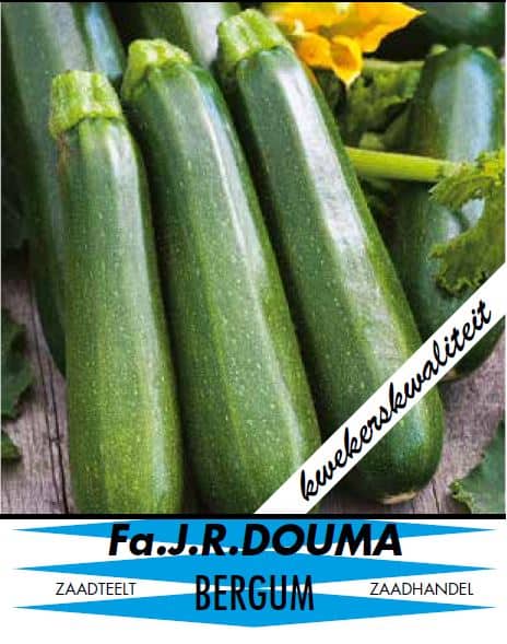 Courgette 557 1