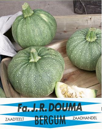 Courgette De Nice