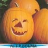 Pompoenen Jack O` Lantern (Halloween)