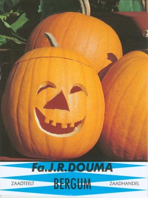 Pompoenen Jack O` Lantern (Halloween)