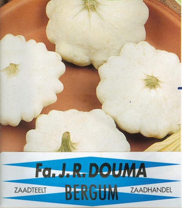 Pompoenen Patisson