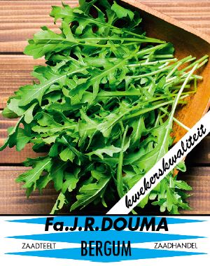 Rucola Erucasativa