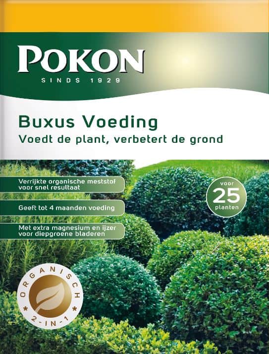 Pokon Buxus voeding 677 1 3