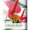 Pokon Anthurium Grond