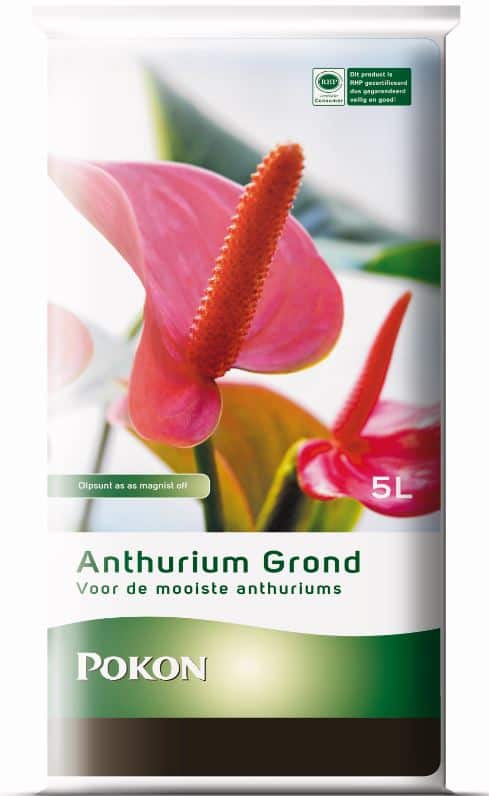Pokon Anthurium Grond