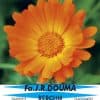 Calendula arvensis