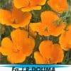 Slaapmutsje - Eschscholtzia California