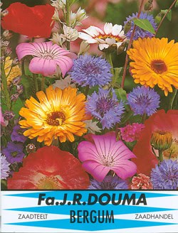 Zomerbloemen 892 1