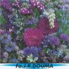 Zomerbloemen (blauw)