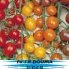 Kerstomaat Cherry mixed