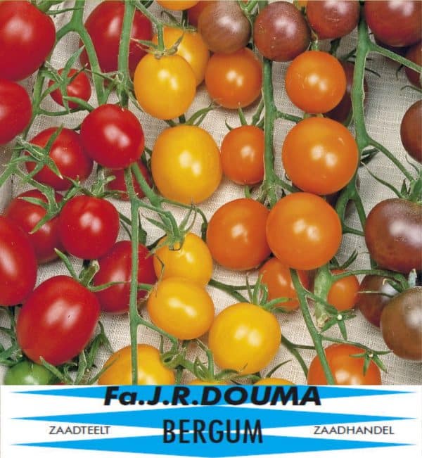 Kerstomaat Cherry mixed