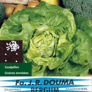 Kropsla Zaadpillen