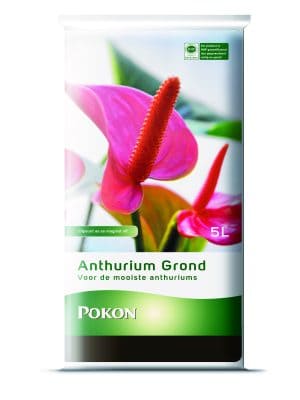 Pokon Anthurium Grond