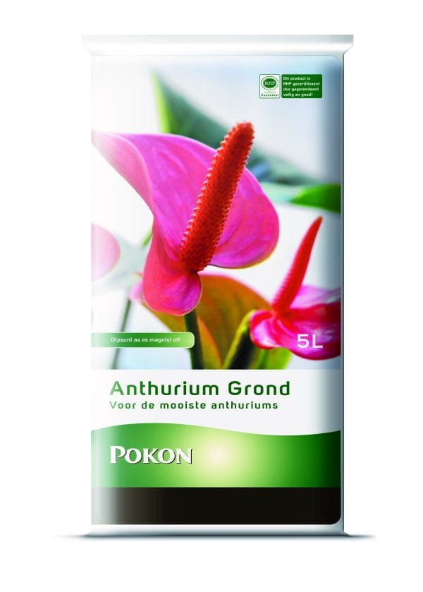 Pokon Anthurium Grond