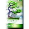 Pokon Bonsai Grond