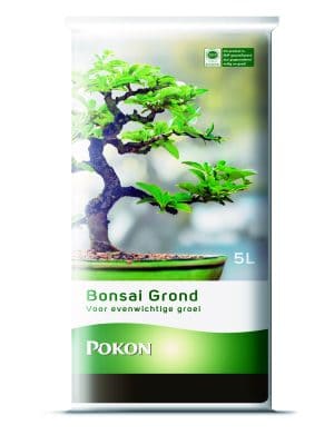 Pokon Bonsai Grond