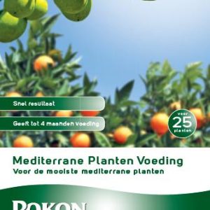 Bieten Albina Vereduna wit