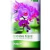 Pokon Orchidee Grond