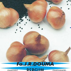Voederbieten PolyploÔøΩde Brigadier