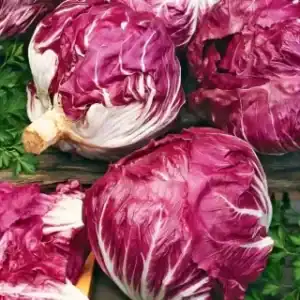 Roodlof Palla Rossa
