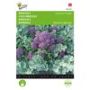 Buzzy Broccoli Summer Purple