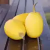Pompoen Vegetable Spaghetti