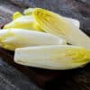 Witlof Hollandse Middelvroeg Edellof