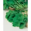 Snijmoes Blauwe Groninger