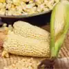 Popcornmais