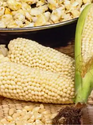 Popcornmais