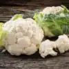 Bloemkool Alpha 7
