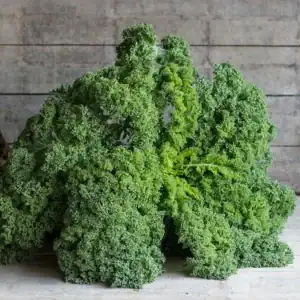 Boerenkool Westlandse Winter